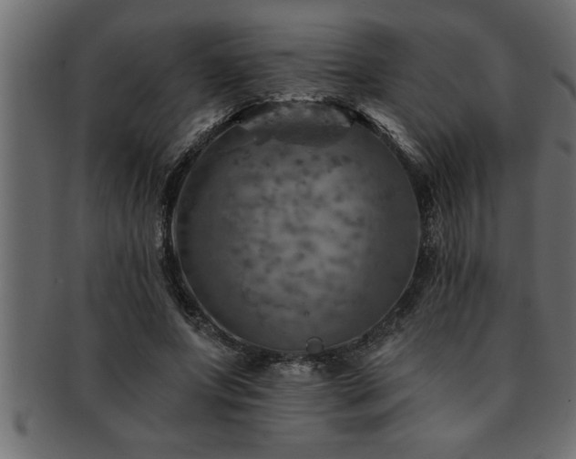 X0000093170687200709261528