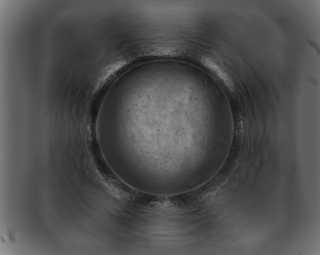 X0000093170688200709261528