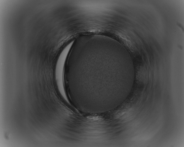 X0000093170689200709261528