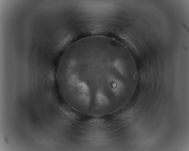 X0000093170691200709261528