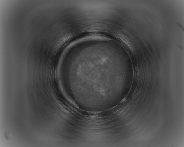 X0000093170692200709261528