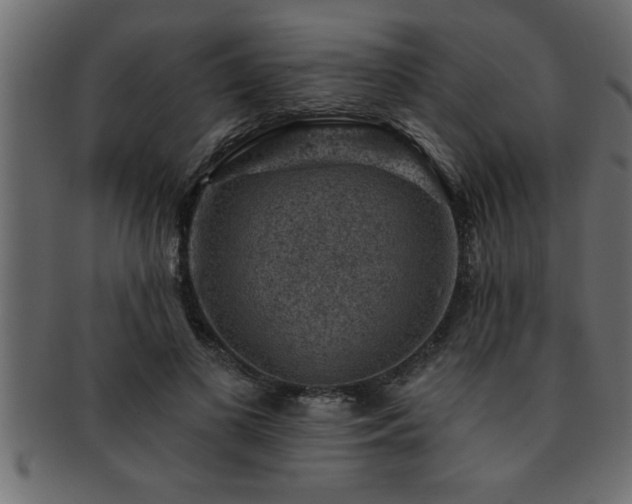 X0000093170693200709261528