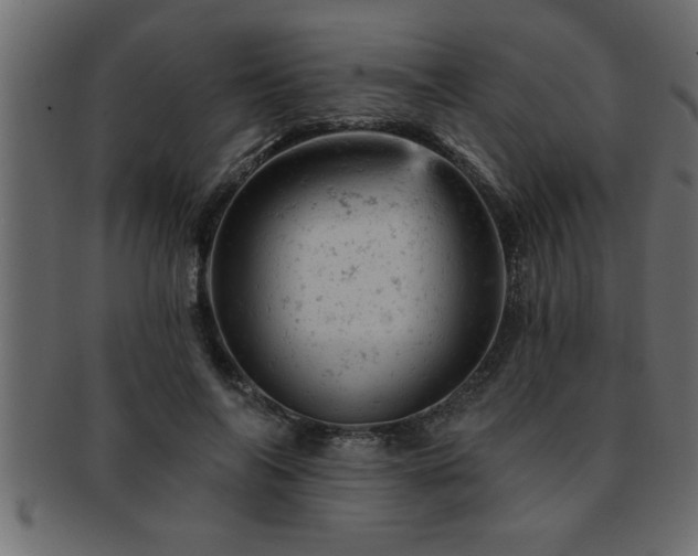 X0000093170694200709261528