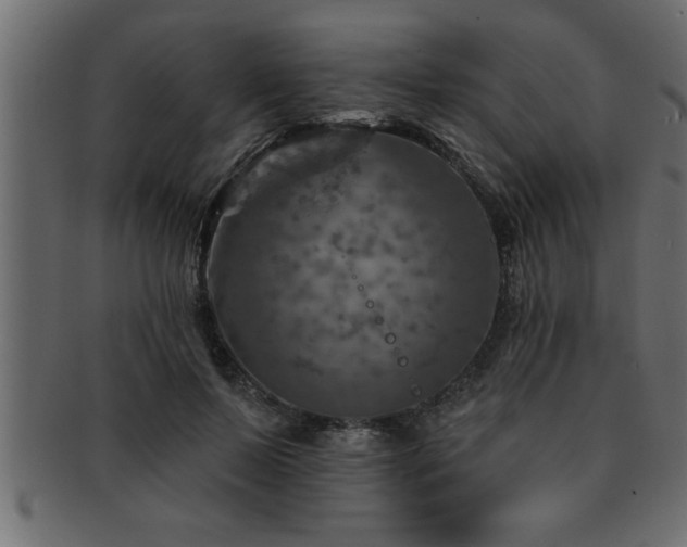 X0000093170695200709261528