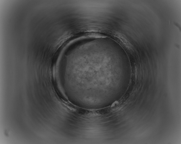 X0000093170696200709261528