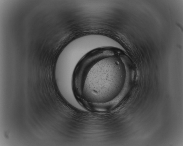 X0000093170697200709261528