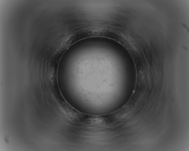X0000093170698200709261528