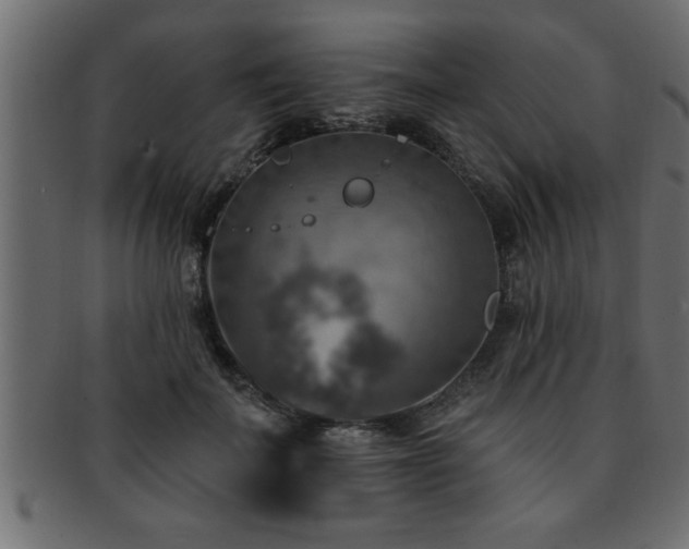X0000093170699200709261528
