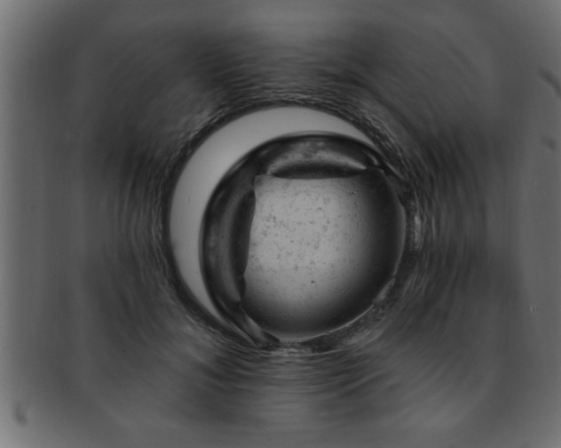 X0000093170700200709261528