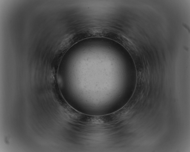 X0000093170702200709261528