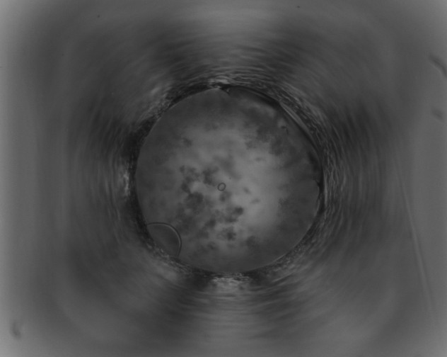 X0000093170703200709261528