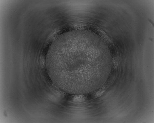 X0000093170705200709261528