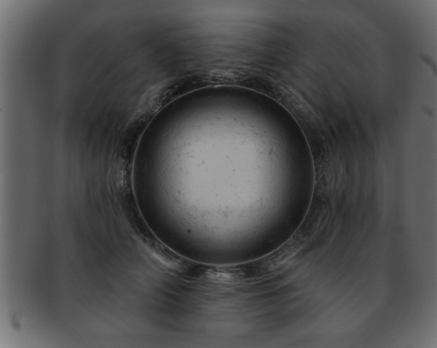 X0000093170706200709261528
