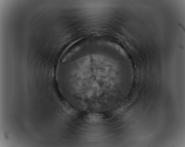 X0000093170707200709261528