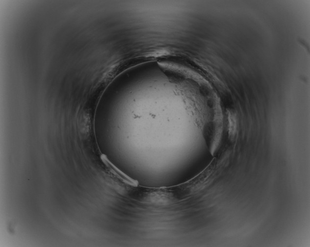 X0000093170708200709261528