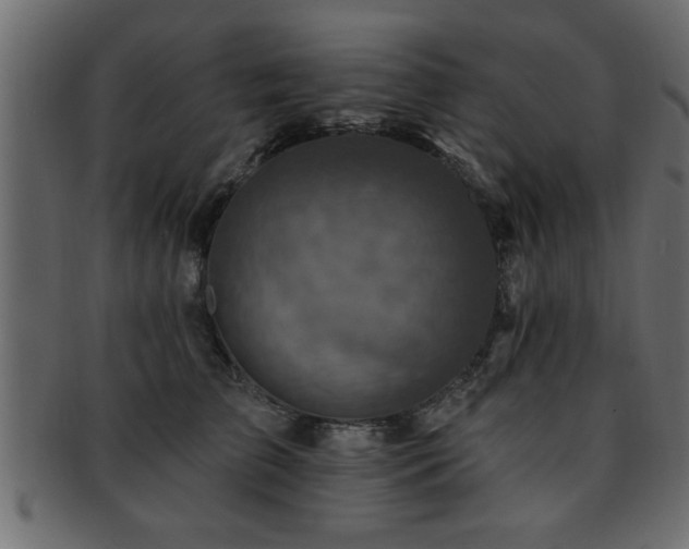 X0000093170709200709261528