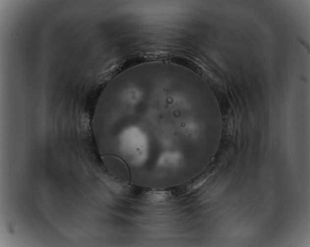 X0000093170711200709261528