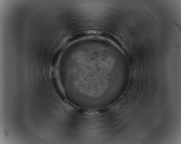 X0000093170712200709261528
