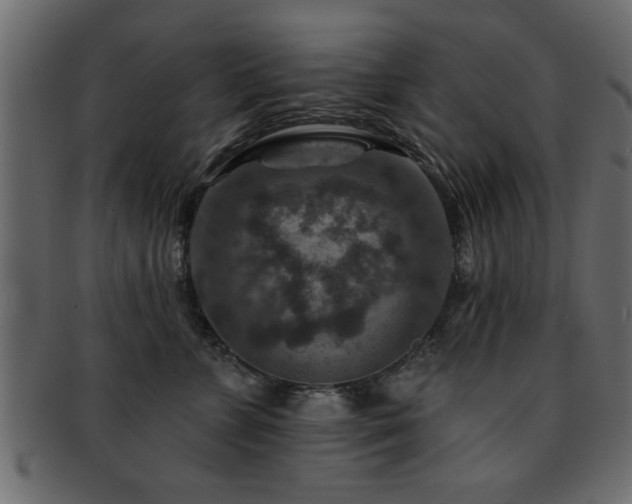 X0000093170715200709261528