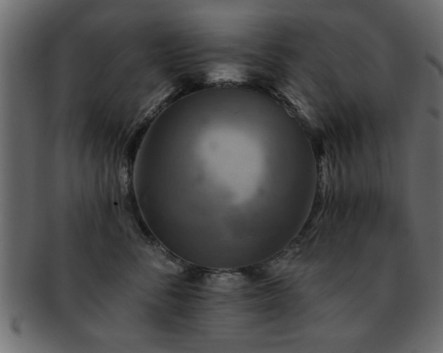X0000093170716200709261528