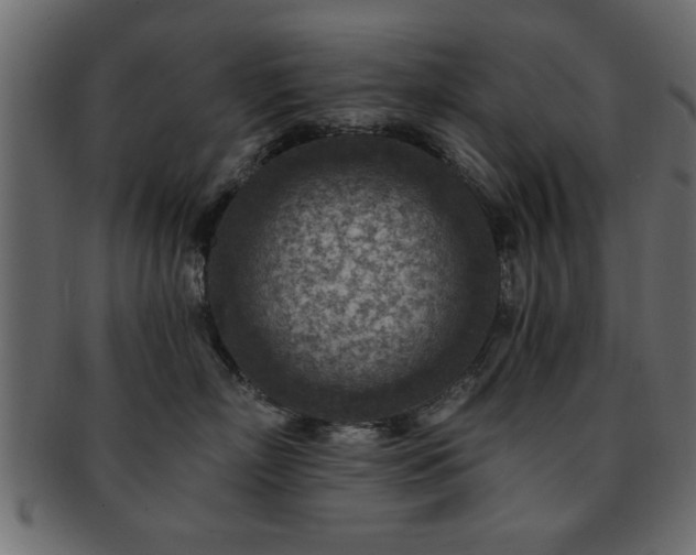X0000093170718200709261528