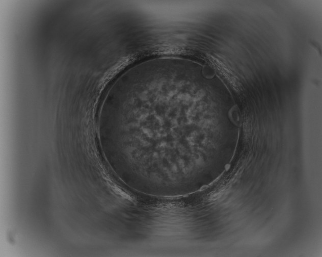 X0000093170721200709261527