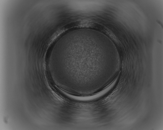 X0000093170722200709261527