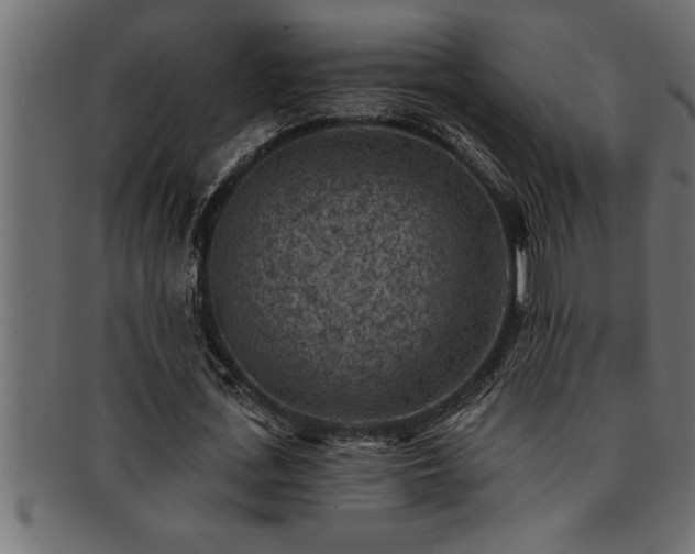 X0000093170723200709261527