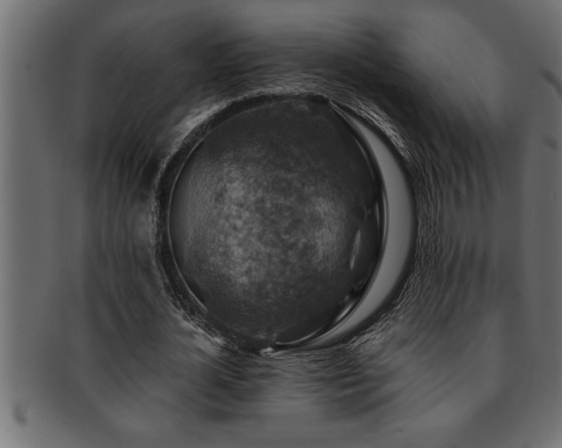 X0000093170724200709261527