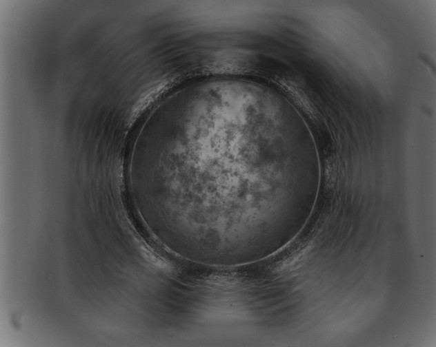 X0000093170725200709261527