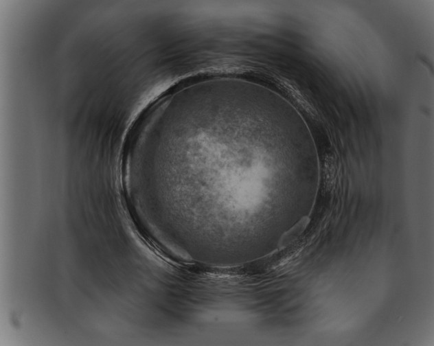 X0000093170726200709261527