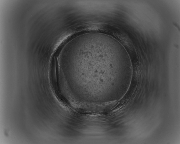 X0000093170728200709261527