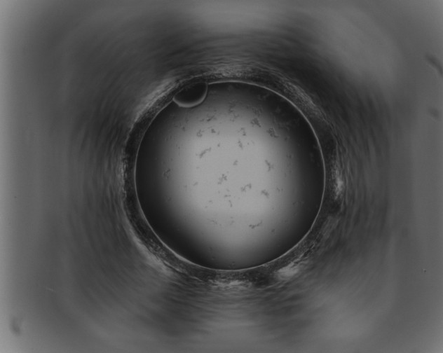 X0000093170730200709261527