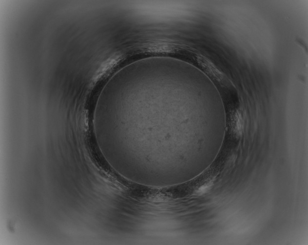 X0000093170731200709261527