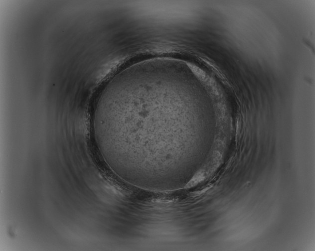 X0000093170732200709261528