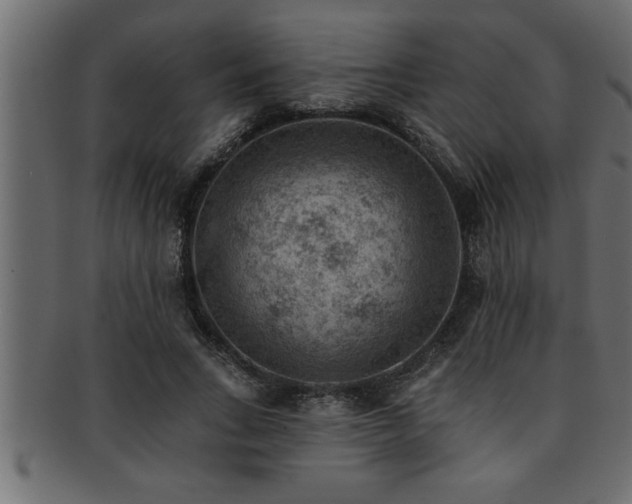 X0000093170735200709261528