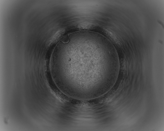 X0000093170738200709261528