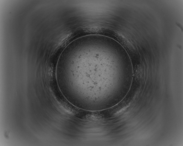 X0000093170739200709261528