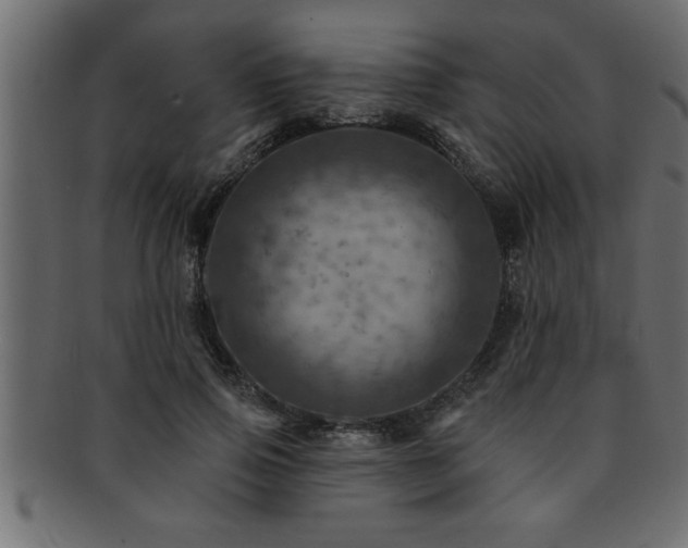 X0000093170741200709261528