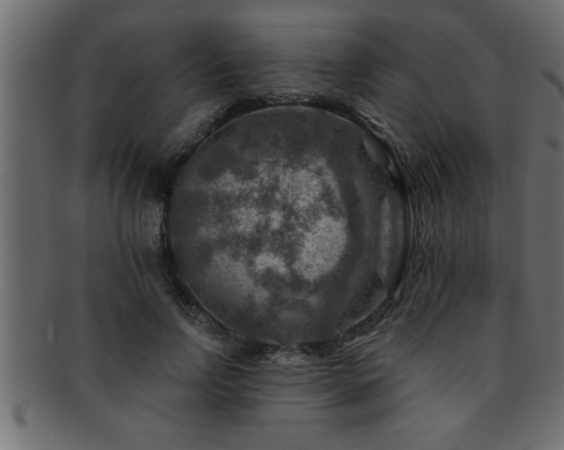 X0000093170742200709261528