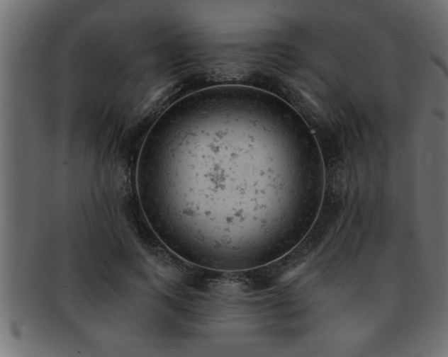 X0000093170743200709261528