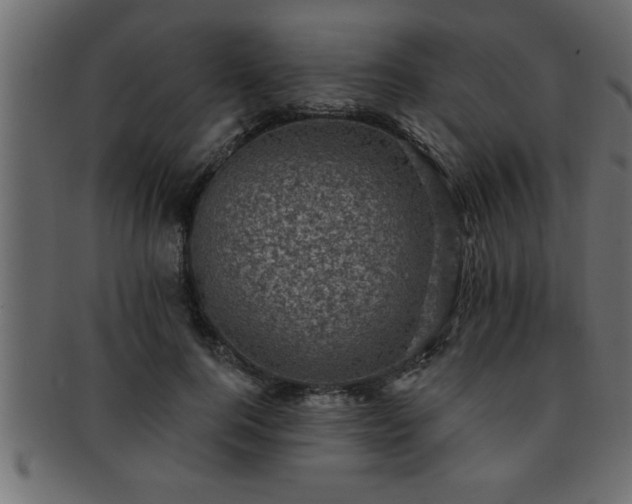 X0000093170744200709261528