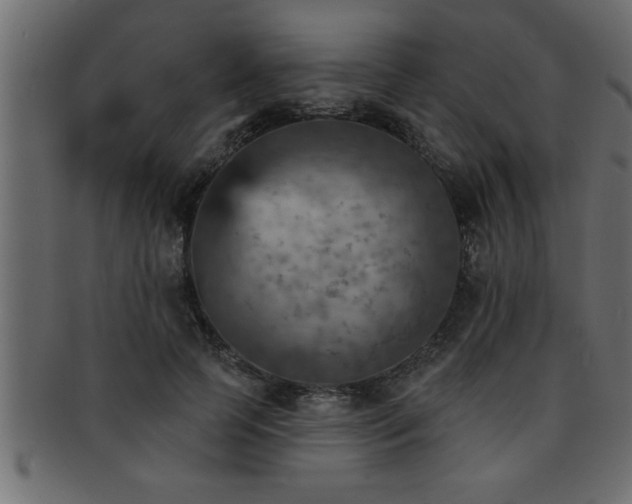 X0000093170745200709261528