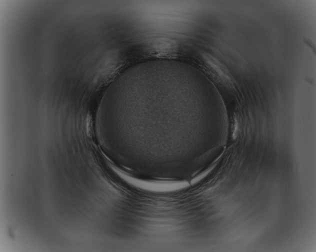 X0000093170748200709261528