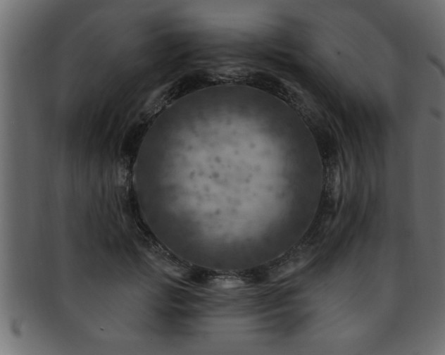 X0000093170749200709261528