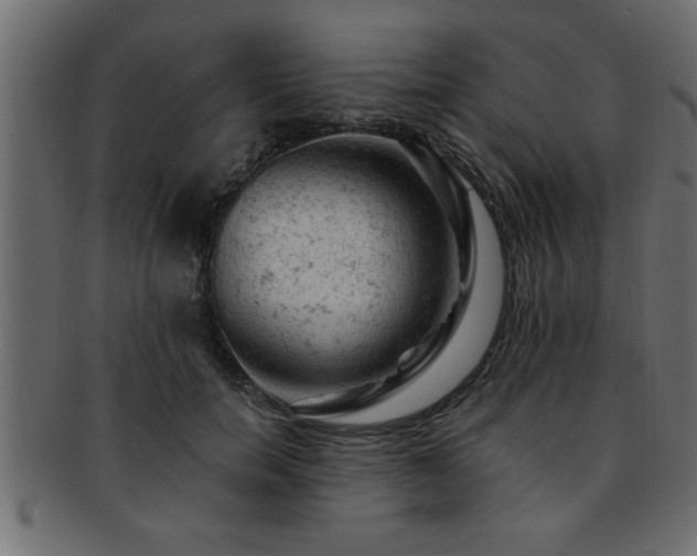 X0000093170750200709261528