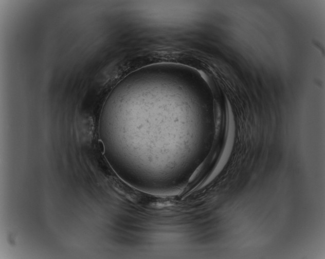 X0000093170752200709261528