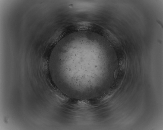 X0000093170753200709261528