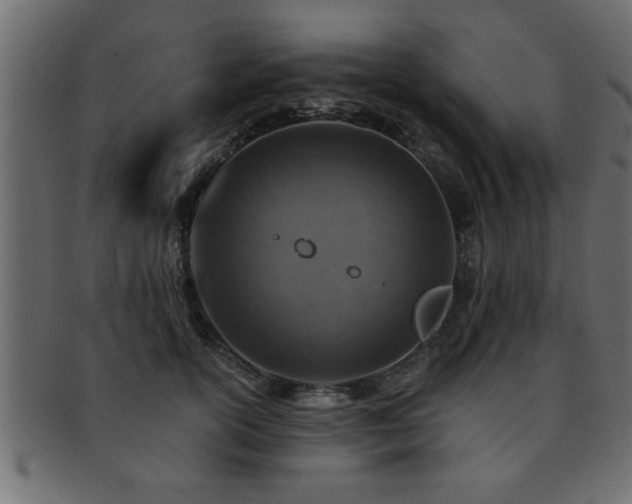 X0000093170754200709261528