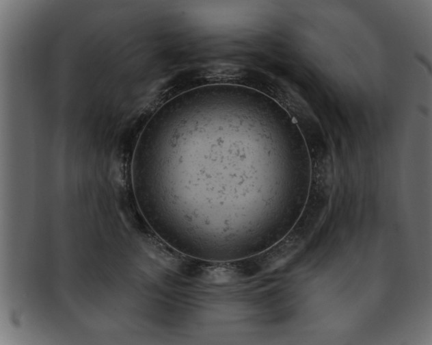X0000093170755200709261528